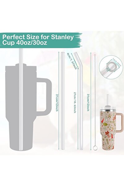 madamina Stanley Adventure Quencher - Set of 4 Glass Straws, 31 cm Travel Cup, 1 Brush and 1 Stopper Gift