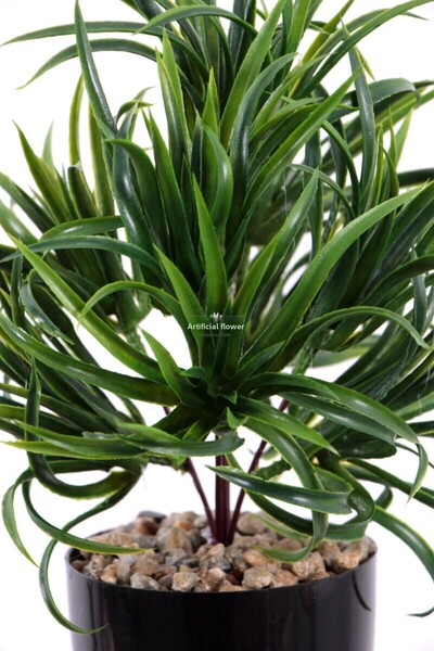 Yapay Çiçek Deposu Изкуствен кактус с гъсти листа в саксия, 30 см