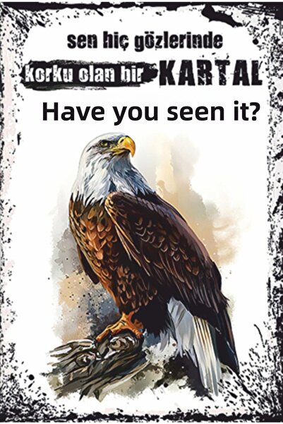 Hayat Poster Poster din lemn retro Eagle