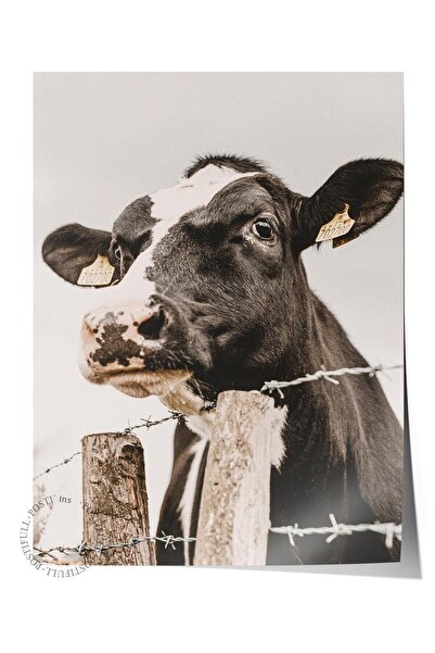 Postifull Poster rustic fără rame, pictură nordică albă, NR:328 Fotografie cu...