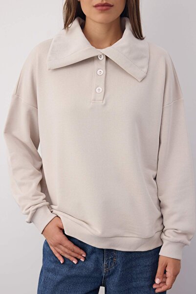 Trendyol Collection Wardrobe Essentials – Gestricktes Sweatshirt mit Polo-Ausschnitt aus Stein | TWOAW26SW000412