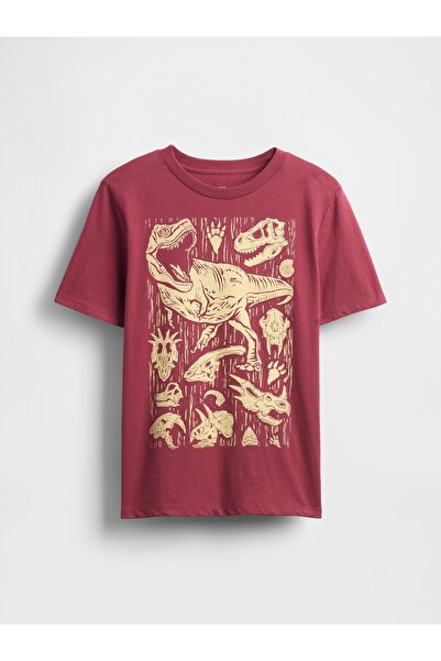 GAP Erkek Çocuk Tuğla Kırmızısı Grafik T-Shirt