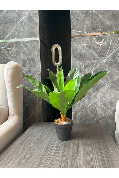 GREEN TOWN فيرن الصناعية 50 سم
