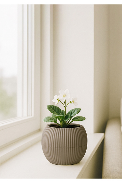 HOMİNG Bej Mini Yuvarlak Saksı 242208