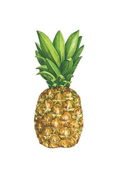 Hester & Cook Accent de masă cu formă de ananas - Pachet de 12