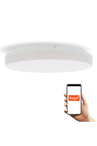 LDM Lampă de tavan LED Smart CCT Rainbow 24W IP55, control prin aplicație WiFi