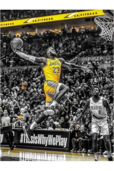 Emoda home Trove لوحة فنية جدارية لليبرون جيمس