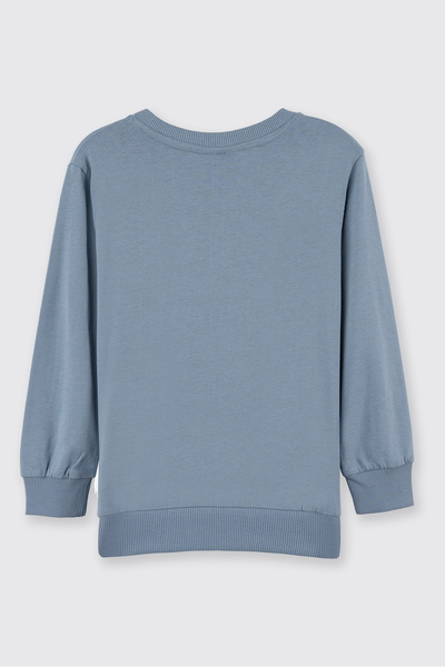 Panço Erkek Çocuk Sonic Gri Sweatshirt