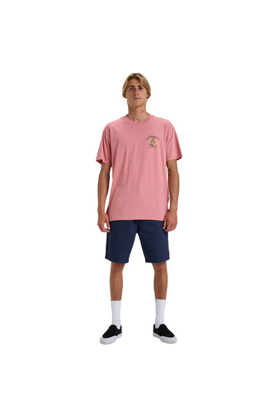 BİLLABONG Lunch Break Ss Men's Pink T-Shirt Men's T-Shirt Ebyzt00291