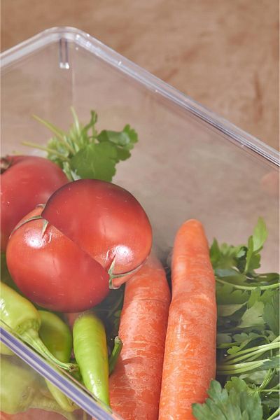EWs 3-Piece Covered Refrigerator Organizer & Refrigerator Organizer 4.5 Lt