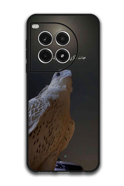 Theodor جراب واقٍ مضاد للخدش والصدمات لهاتف OnePlus Ace 3 Pro بتصميم عربي (73)