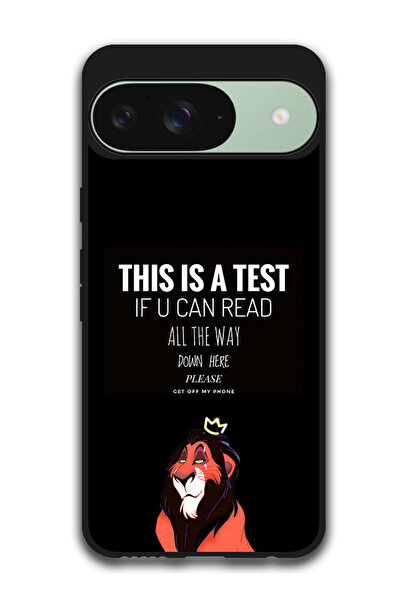 Theodor جراب واقٍ مضاد للخدش والصدمات لهاتف Google Pixel 9 هذا اختبار