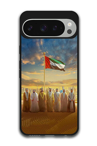 Theodor غطاء حماية مضاد للخدش والصدمات لهاتف جوجل بيكسل 9 برو، علم الإمارات ا...