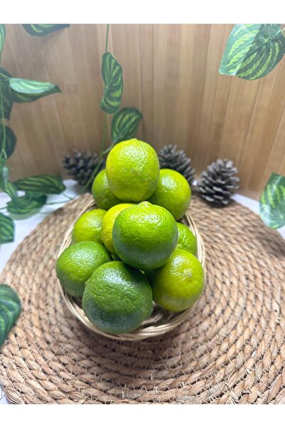miralanya meyvecim 1 Kg Mayer Limon