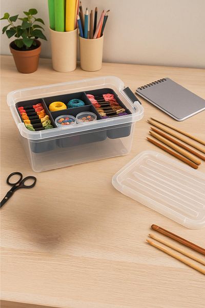 EWs 6.25 L Transparent Storage Box & Organizer Organizing Box