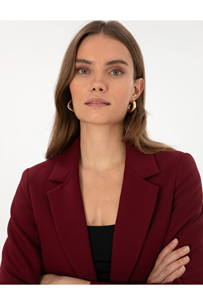 Pierre Cardin Vişne Slim Fit Ceket 50310125-VR223