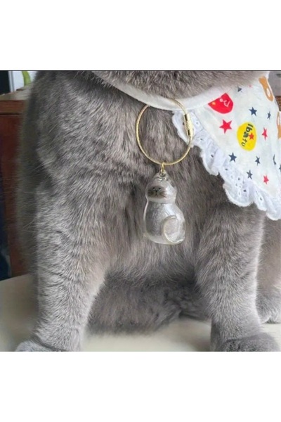 BAMİAMU 1 adet evcil hayvan tüy saklama kapsülü turuncu,anahtarlık,tasma,kedi...