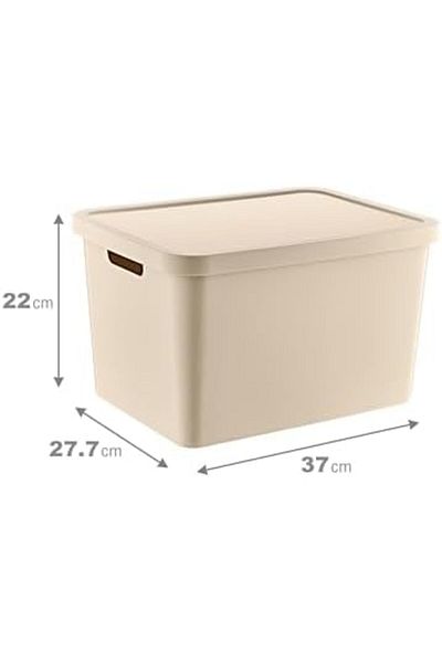 AC BOX Set of 4 Stafi Multi-Purpose Box with Lid Latte 18 Lt - Latte, Multi-Purpose Box with Lid, E