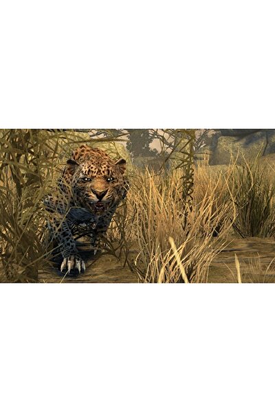 ACTIVISION Joc Cabela's Dangerous Hunts 2011 Playstation 3