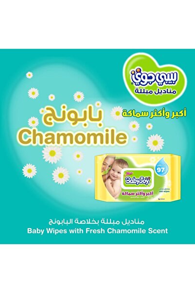 erorex Thick And Large Scented Wet Wipes 80 Wipes Pack Of 1