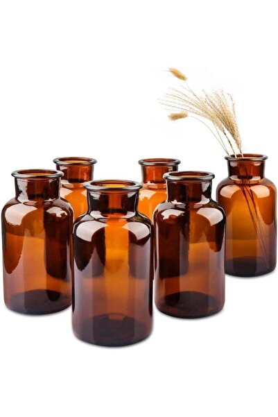 Generic FUFU Set of 6 Amber Bud Vases, Small Glass Vases, Vintage Medicine Bo...