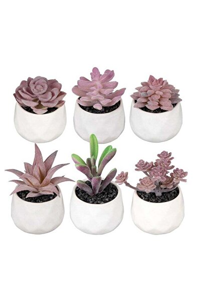 Generic 6-Pack Realistic Artificial Succulents - Maintenance-Free and Safe, A...