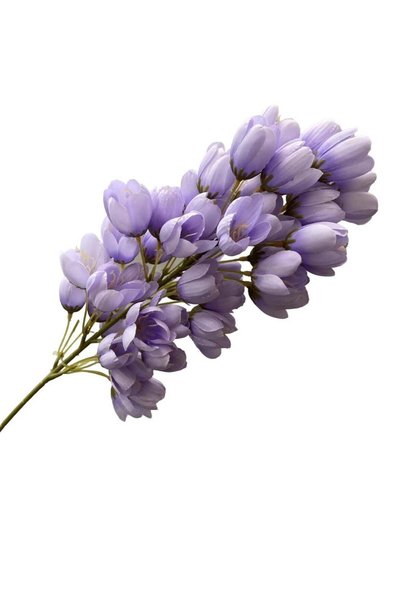 Generic Tropical Delonix Wall Wedding Artificial Flowers Light Purple