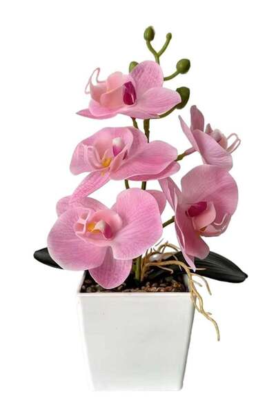 Generic Real Touch Orchid Bonsai with 5 Flower Heads Pink