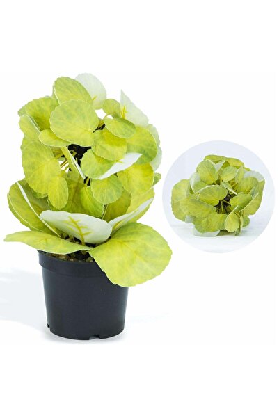 Generic Artificial Potted Plant for Indoor Outdoor Office Home Garden Party D...