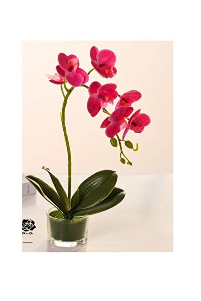 Generic Artificial Flowers Butterfly Orchid Potted Artificial Plant Bonsai Su...