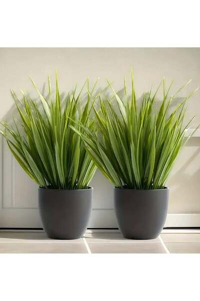 Generic 2 Faux Sage Grass Plants in Black Pots – Realistic Artificial Greener...