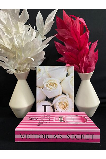 DecoZel Decorative Book Box Set of 2