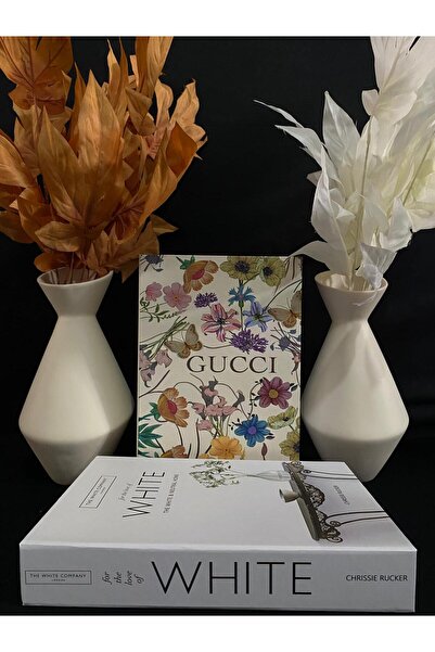 DecoZel Decorative Book Box Set of 2