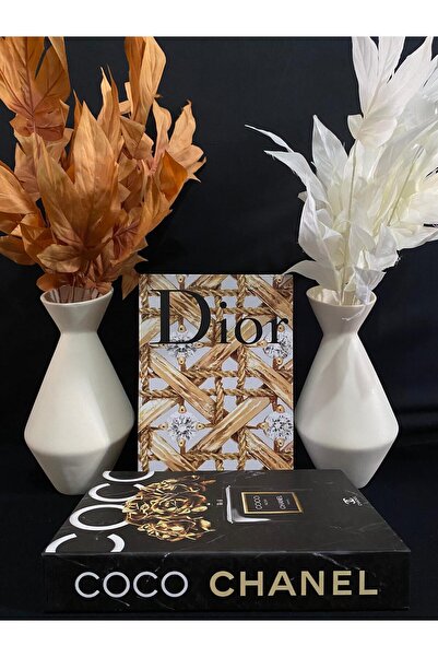 DecoZel Decorative Book Box Set of 2