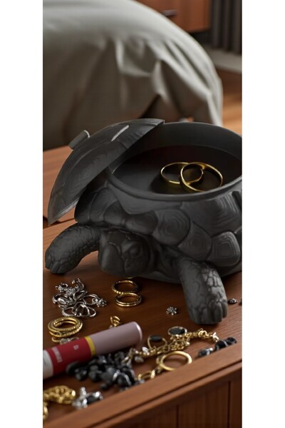 DNRYSL Turtle Box Tortoise Design Jewelry Box and Decorative Organizer, Trinket