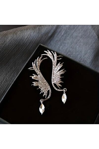 Pinkimaj Angel Wing Style Earrings with Stones Zircon 2 Earrings