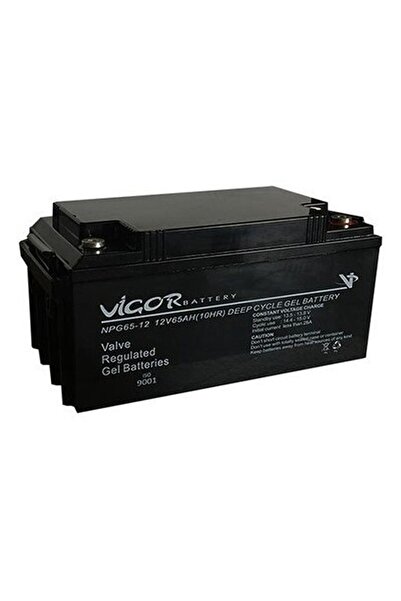 Vigor 65 Ah Solar Jel Akü 12v Deepcycle Npg65-12
