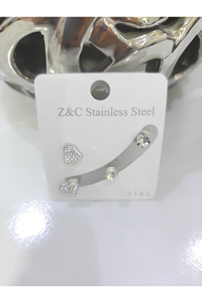 Tasarım Steel Earrings 2-Piece Stone Heart Solitaire Model Silver Silver