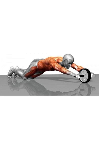 erorex Fitness Double Wheel Exerciser