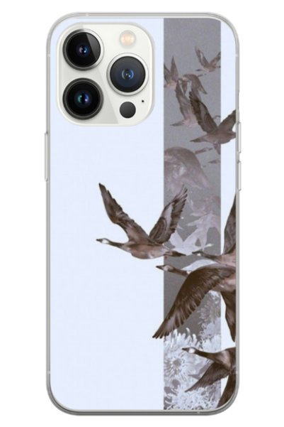 Atlas Husa personalizata 360 de grade pentru Apple iPhone 13 Pro Max, Birds, ...