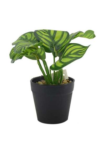 DRAMA HOME نبات صناعي في وعاء أخضر/أسود