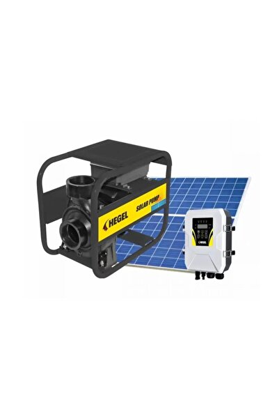 Hegel 110V 1500W DC Salyangoz Yüzey Pompası