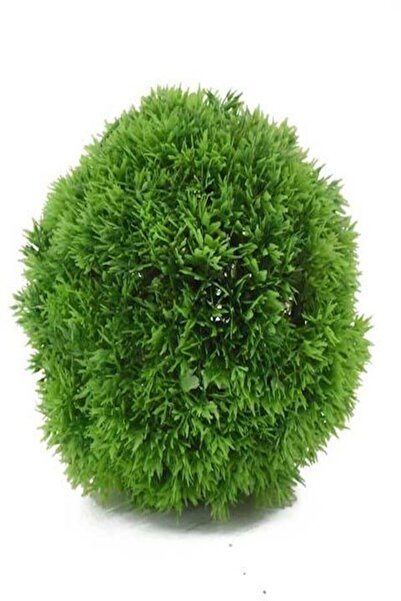 Generic Industrial Vegetable Field Medium Size