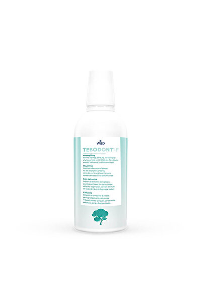 Tebodont F Mouth Rinse, 500 Ml