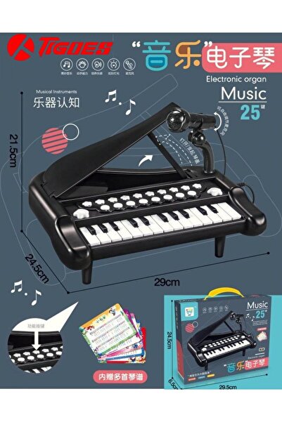 Online 25 Tuşlu Mikrofonlu Mini Org Müzik Ve Ses Efektleri 29 Cm Mini Piyano