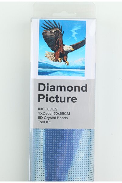 histone طقم تطريز الخرز 50 × 65 نسر