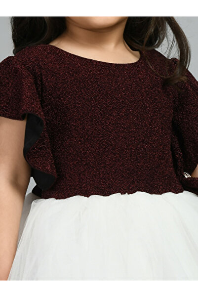 Bella Moda By Styli Embellished Ruffled Sleeve Knee-Length Mesh Dress