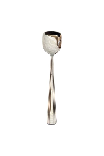 Nehir Katre Ice Cream Spoon - 6 Ice Cream Spoons 18/10 Stainless Steel
