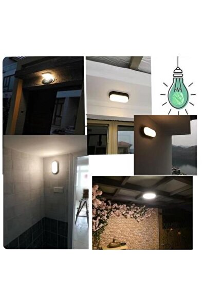 ALLES 20 W Siyah Dış Mekan LED Aplik Oval Siyah Kasa Günışığı ECN-5015 -OS-30