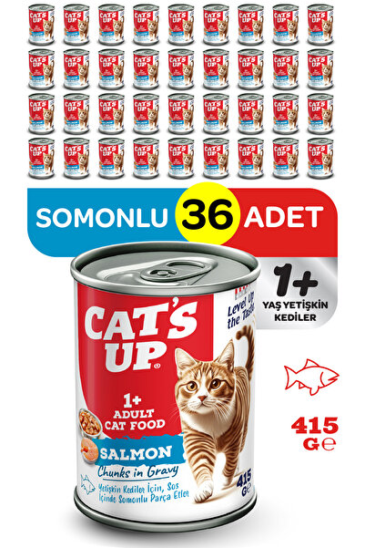 Cat's Up Cats Up Yaş Yetişkin Kedi Maması Somonlu 415gr 36Lı